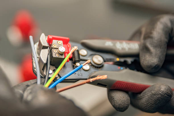 Best Electric Panel Repair  in Carlin, NV