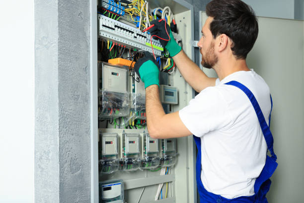 Best Ceiling Fan Installation Electrician  in Carlin, NV
